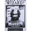 Pánské tričko Harry Potter: Sirius Black - Have you seen this wizard?