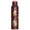 Nerezová outdoor láhev na pití Harry Potter: Barevný znak (objem 550 ml)