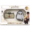 Dekorativní 2D světýlka k zavěšení - řetězová lampa Harry Potter: Dopis a Hedvika 12 kusů (250 cm)