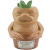 Držák na tužky Harry Potter: Mandragora (výška 15 cm)
