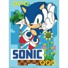 Set 2 kusů plakátů Sonic The Hedgehog | Ježek Sonic: Sonic a Tým (38 x 52 cm)