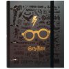 Kroužkový pořadač se spojovací svorkou Harry Potter: Brýle (28 x 32 x 4 cm)