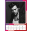Nástěnný kalendář 2026: Harry Styles (A3 29,7 x 42 cm)