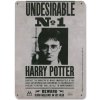 Dekorační cedule na zeď Harry Potter: Undesirable No.1 (15 x 21 cm)