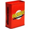 Pokladnička The Big Bang Theory | Teorie Velkého Třesku: Bazinga (8,5 x 11,5 x 4,5 cm) kovová