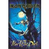 Plakát Iron Maiden: Fear Of The Dark (61 x 91,5 cm)
