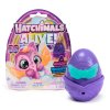 HATCHIMALS JEDNO BALENÍ NEÓNOVÁ DUHA