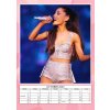 Nástěnný kalendář 2025: Ariana Grande (A3 29,7 x 42 cm)