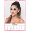 Nástěnný kalendář 2025: Ariana Grande (A3 29,7 x 42 cm)