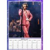 Nástěnný kalendář 2025: Harry Styles (A3 29,7 x 42 cm)