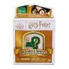 SpinMaster HARRY POTTER Mini figurky v rámečku