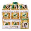 SpinMaster HARRY POTTER Mini figurky v rámečku