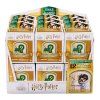 SpinMaster HARRY POTTER Mini figurky v rámečku