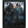 Proměňovací 3D obrázek The Witcher | Zaklínač: Connected by fate (26 x 20 cm)
