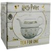 Keramický set na čaj Harry Potter: Divination - Věštění (objem 300 ml)