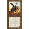 Oficiální nástěnný kalendář How To Train Your Dragon Movie | Jak vycvičit draka film s plakátem (30,5 x 30,5 | 61 cm)