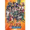 Plakát Naruto Shippuden: Postavy (61 x 91,5 cm)