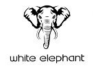 White Elephant