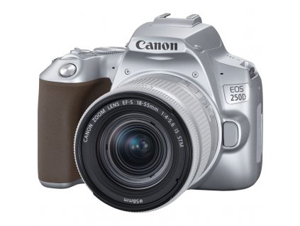 Zrcadlovka Canon EOS 250D + 18-55 IS STM, stříbná