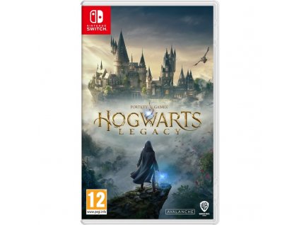 Hra Warner Bros Nintendo SWITCH Hogwarts Legacy (Code in a box)
