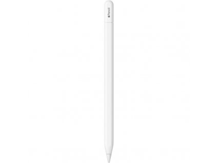 Stylus Apple Pencil (USB-C) 2023