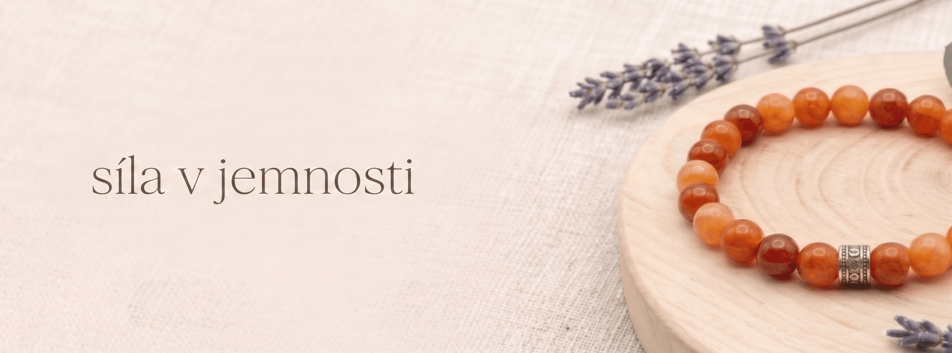 sila_v_jemnosti_banner