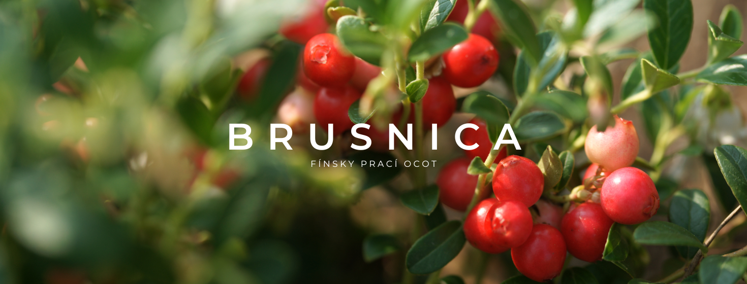 finsky-praci-ocot-brusnica