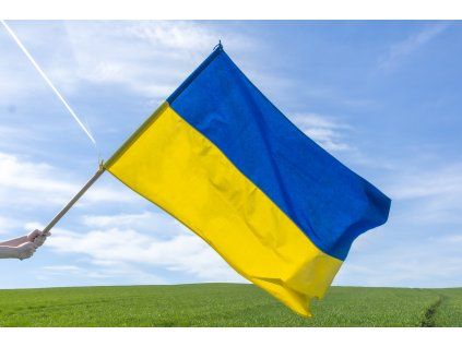 550A1766 velká bavrněná úprava web
