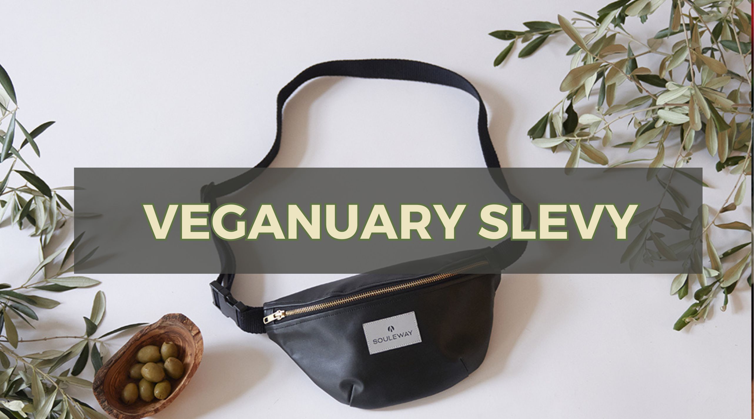 slevy na veganske znacky, veganuary