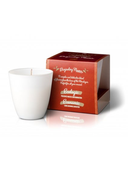 a7b6a02f167a9c3e066b5bfa0ebfba99 Darjeeling individual