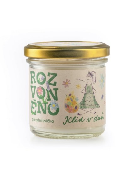 dc19901c7107251a1fefc3720901babf klid v dusi ctverec 1300x