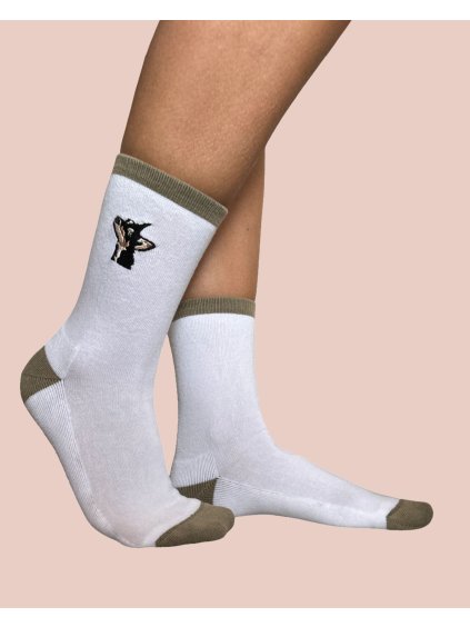 white sock with no race dog