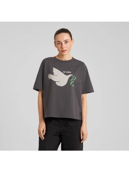 11224 e591b71dde 23524 5 full