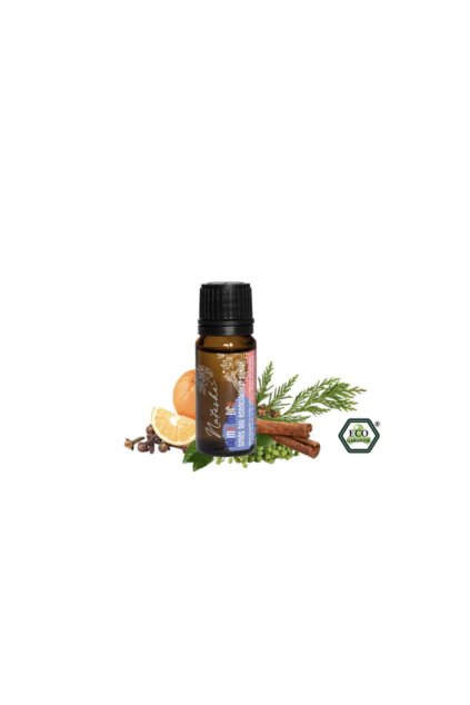 31685 sni mka obrazovky 2025 12 17 o 13 40 00