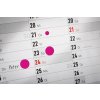 3850 4004182038505 Markierungspunkte Spender Kalender anw (Large)