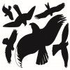 Siluety dravých ptáků | Avery Zweckform 4485