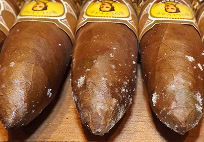 Co dělat, když se na těle doutníku vyskytují barevné skvrnky?