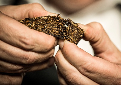 Co je vlastně tabák