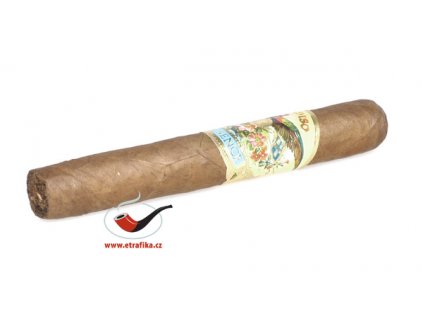 14414 doutniky paradiso quintessence robusto 1