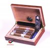 14819 1 doutnikovy humidor fs set robusto 5