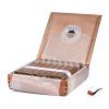 Doutníky Ashton Classic Churchill/25