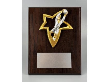 7011 drevena plaketa hg153 22 futbal brankar