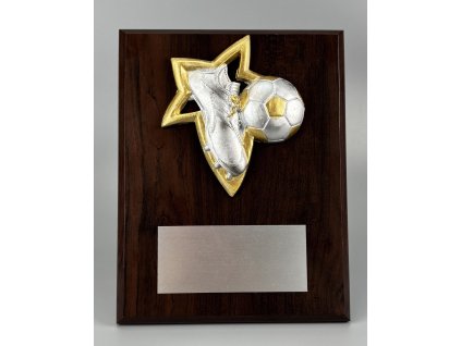 7014 drevena plaketa hg153 24 futbal kopacka lopta