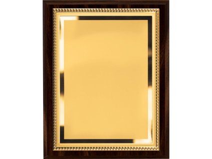 1144 plaketa hg5611 230x180mm