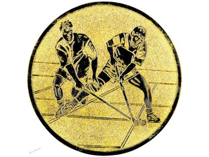 382 emblem 50mm 33 florbal