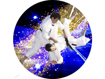 460 emblem b1 10 judo 25mm