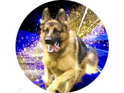 499 emblem b1 23 pes 25mm