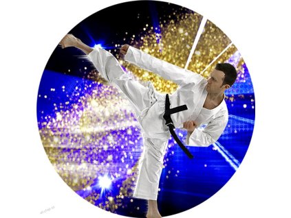 541 emblem b2 09 karate 50mm