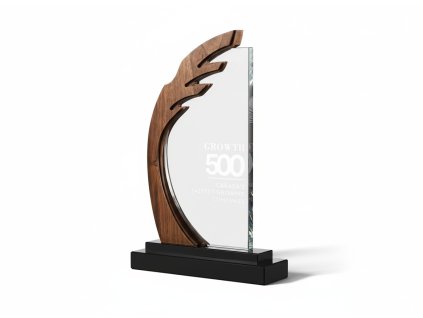 7404 plaketa drevo sklo 1225 krabicka