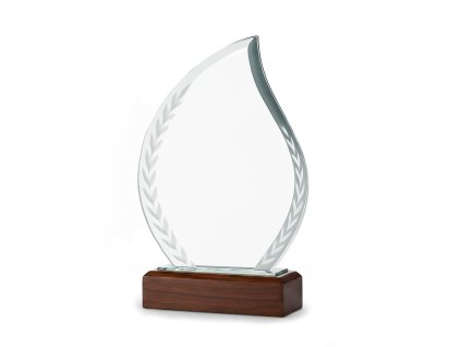 7482 2 plaketa drevo sklo 7011 krabicka